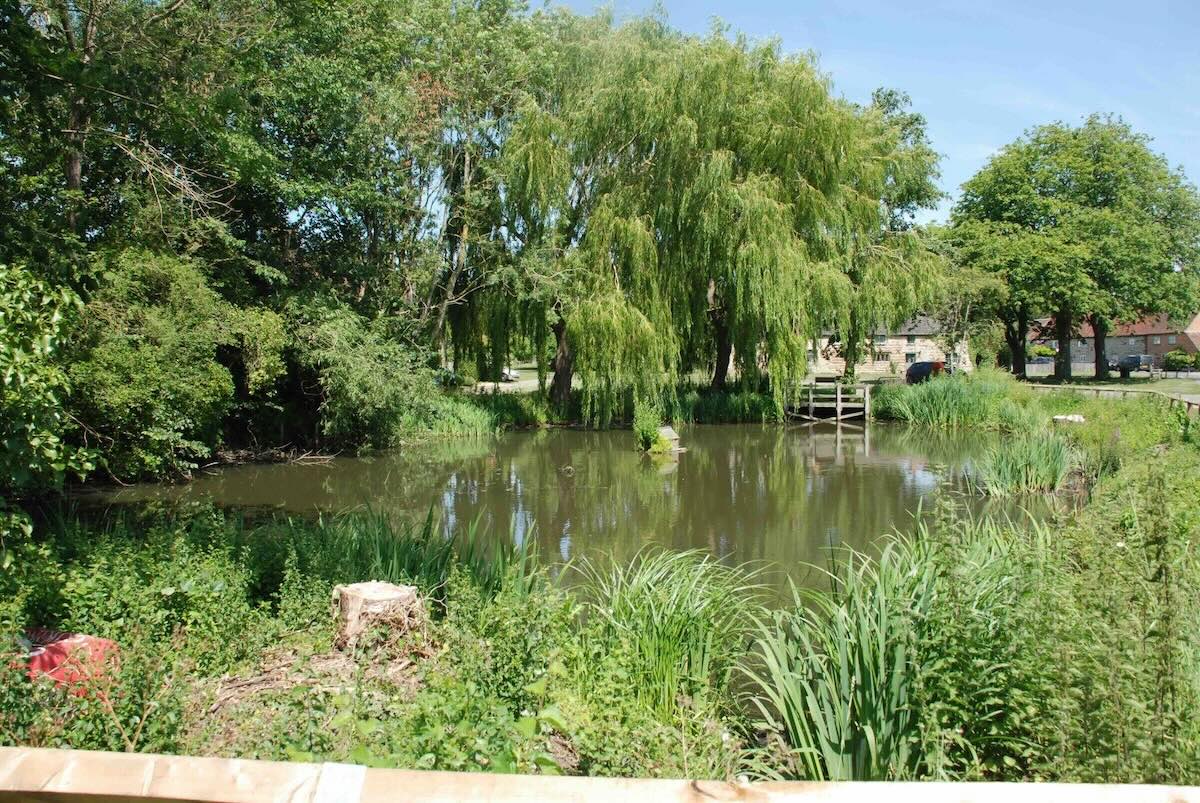 The Village Pond